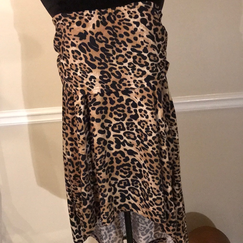 Skirt/ top